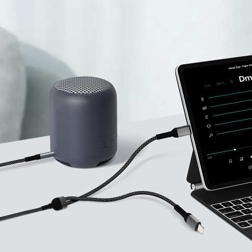 Câble adaptateur USB-C + Lightning vers Jack 3.5mm, LinQ - Noir