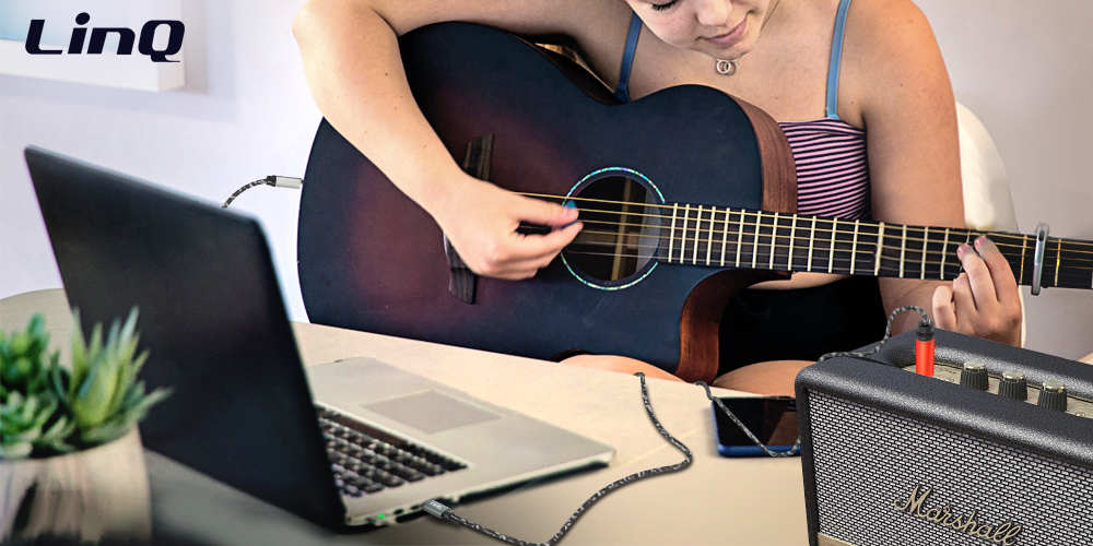 Câble Audio / Splitter USB-C Vers 2x Jack 6.35mm Mâle Nylon Tressé 1.5m, LinQ - Gris 23 Optimisé pour vous diffuser un son de qualité