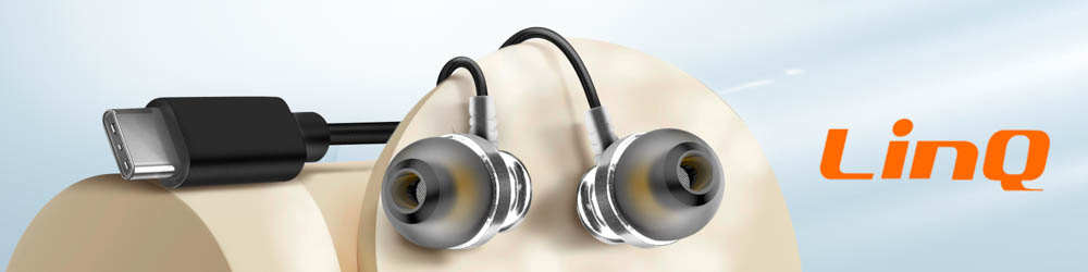 Écouteurs Filaires USB C Microphone LinQ, Argent