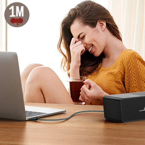 Câble Audio Auxiliaire Jack 3.5mm Mâle / Mâle - gris